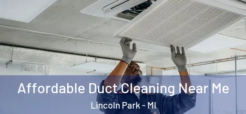 Affordable Duct Cleaning Near Me Lincoln Park - MI