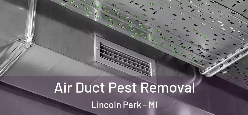 Air Duct Pest Removal Lincoln Park - MI