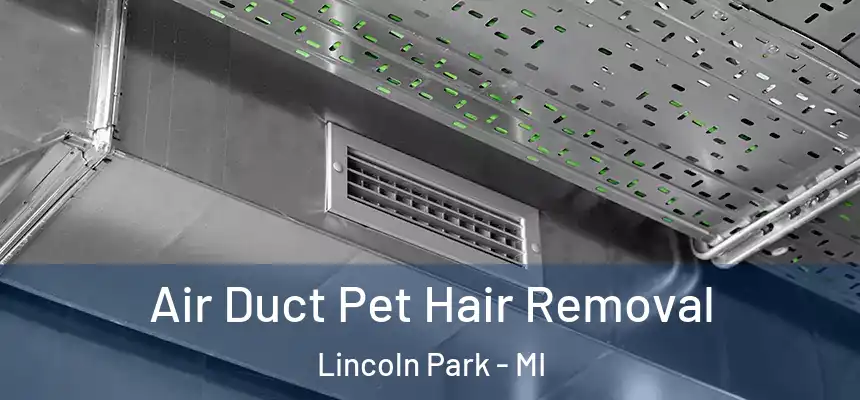 Air Duct Pet Hair Removal Lincoln Park - MI