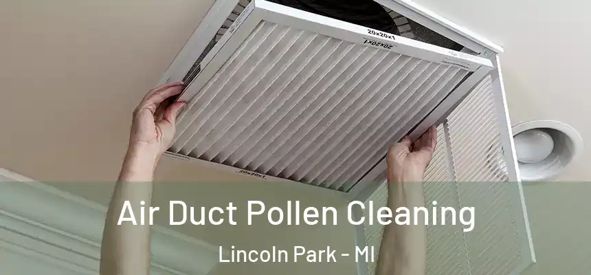  Air Duct Pollen Cleaning Lincoln Park - MI