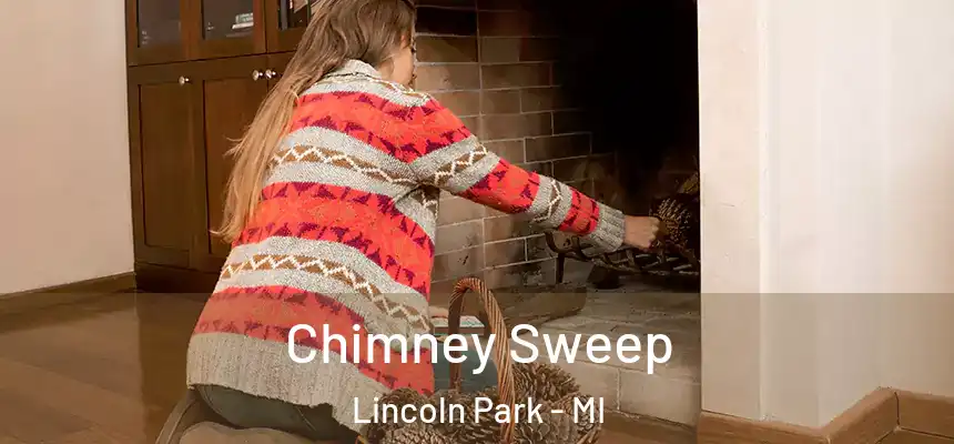 Chimney Sweep Lincoln Park - MI