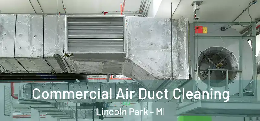 Commercial Air Duct Cleaning Lincoln Park - MI