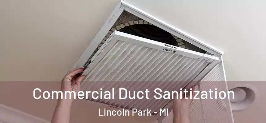 Commercial Duct Sanitization Lincoln Park - MI