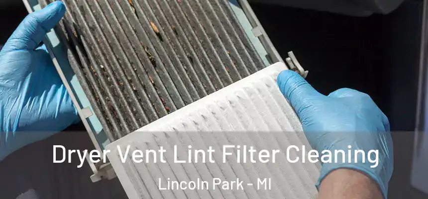 Dryer Vent Lint Filter Cleaning Lincoln Park - MI