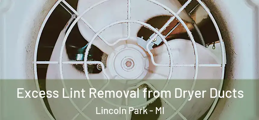 Excess Lint Removal from Dryer Ducts Lincoln Park - MI
