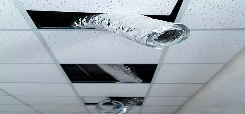 Affordable HVAC Sanitizing After Pest Removal in Lincoln Park