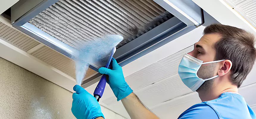 Proactive Dryer Vent & Auxiliary Duct Pollen Cleanup in Lincoln Park, MI