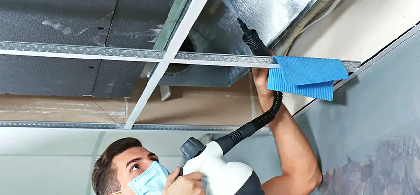 Our Air Duct Rodent Removal Services in Lincoln Park, MI