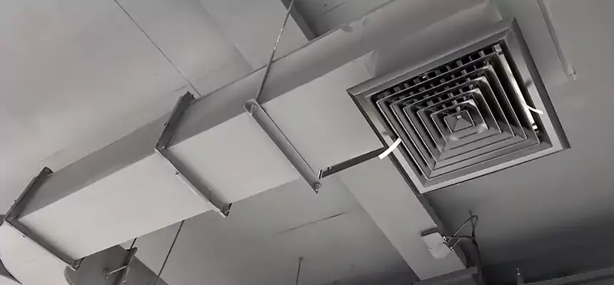 Restorative Allergy Relief Vent Cleaning – Coil, Blower & Housing Detail in Lincoln Park