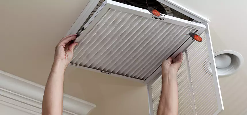 Our Insect Removal from Air Ducts Services in Lincoln Park, MI