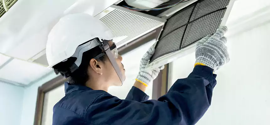 Our Mold & Mildew Removal from Air Ducts Services in Lincoln Park, MI