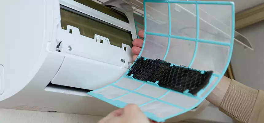 Gentle Ductwork Odor-Control Pet Dander Duct Cleaning in Lincoln Park, MI