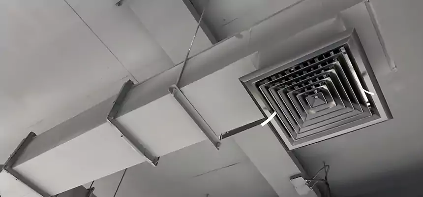 Our Rodent Droppings In Vents Services in Lincoln Park, MI