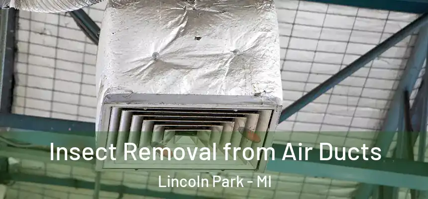  Insect Removal from Air Ducts Lincoln Park - MI