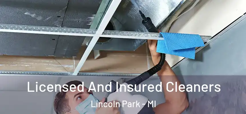 Licensed And Insured Cleaners Lincoln Park - MI