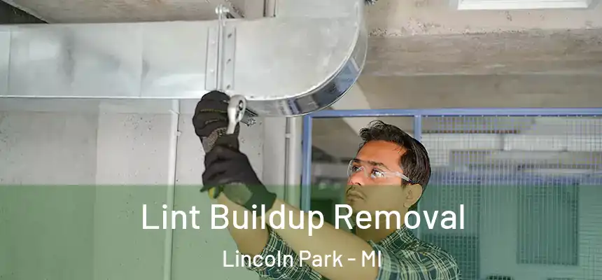 Lint Buildup Removal Lincoln Park - MI