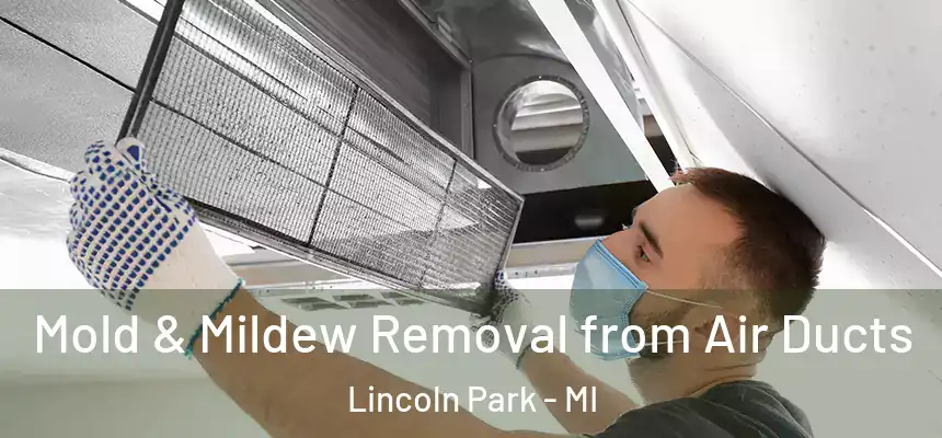  Mold & Mildew Removal from Air Ducts Lincoln Park - MI