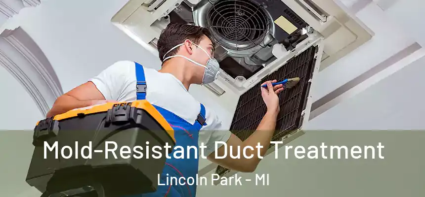  Mold-Resistant Duct Treatment Lincoln Park - MI