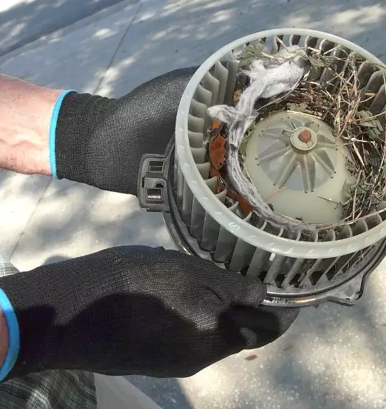 About Air Duct Mice Removal in Lincoln Park, MI