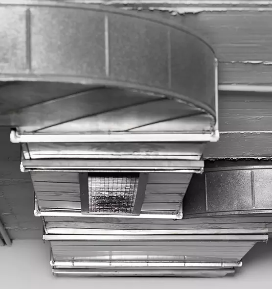 Professional Air Duct Pest Removal in Lincoln Park, MI