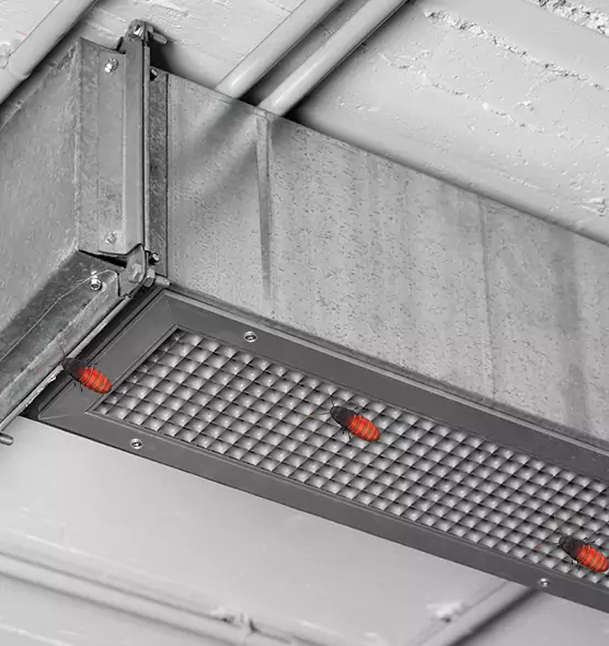 Affordable Insect Removal from Air Ducts in Lincoln Park, MI
