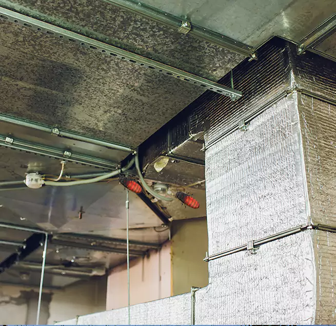 Why Homeowners & Businesses Trust Us in Lincoln Park, MI?