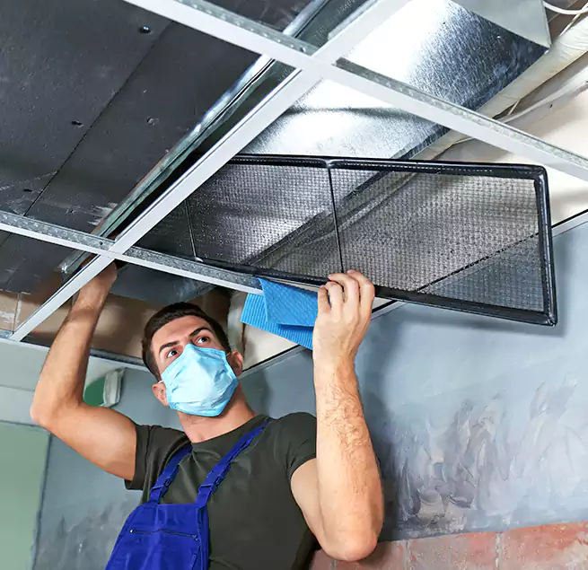 Why Homeowners Businesses Trust Us in Lincoln Park, MI