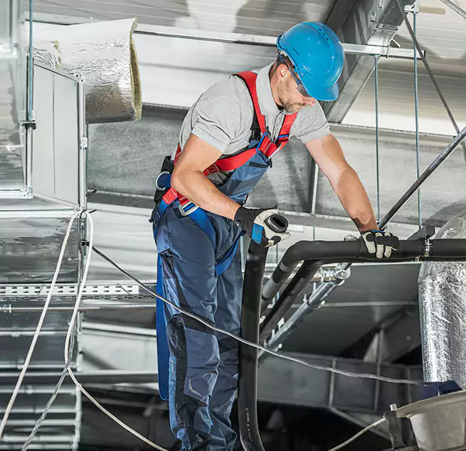 Why Homeowners & Businesses Trust Us in Lincoln Park, MI?