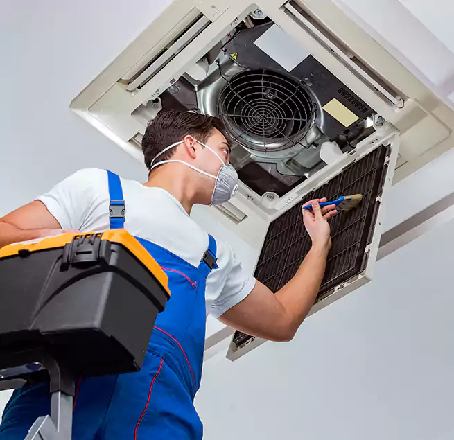 Why Homeowners & Businesses Trust Us in Lincoln Park, MI