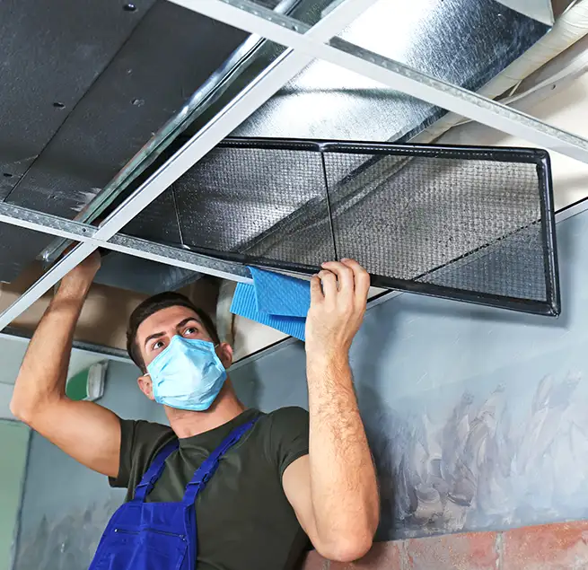 Why Homeowners & Businesses Trust Us in Lincoln Park, MI?