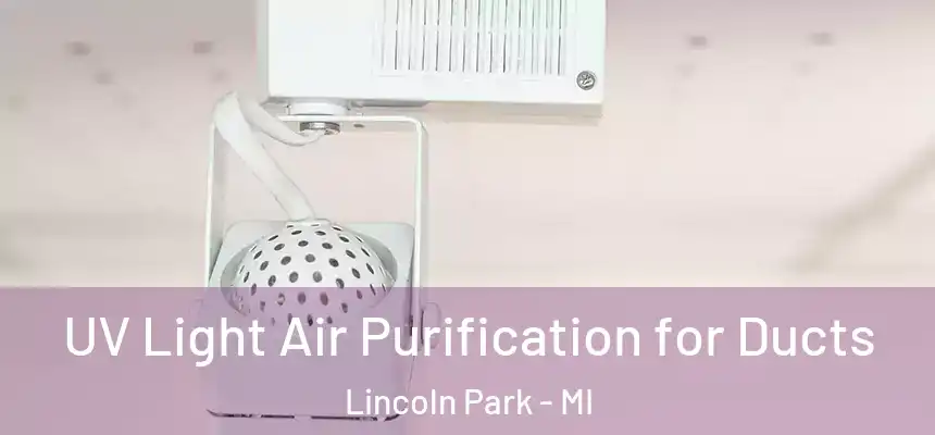  UV Light Air Purification for Ducts Lincoln Park - MI